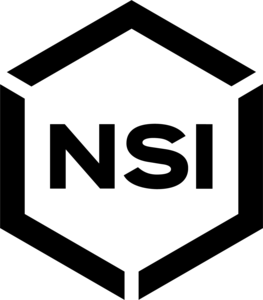 NSI NSI